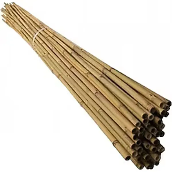 Bambu Bitki Destek Çubuğu 150 cm-10 adet
