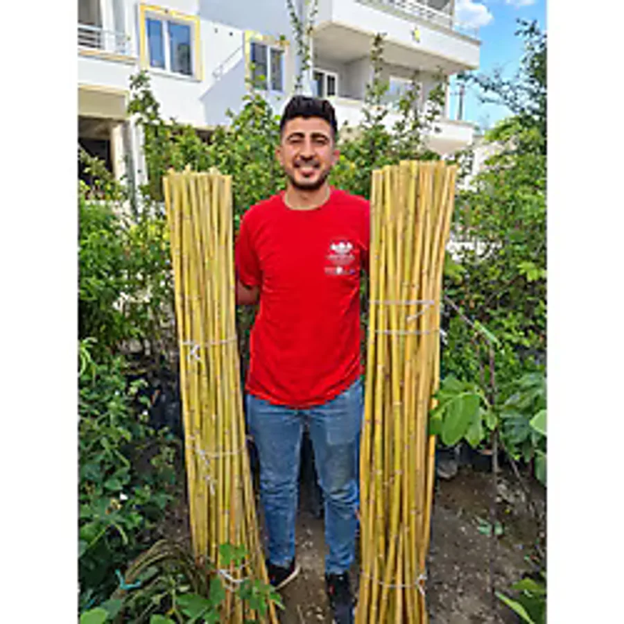 Bambu Fidan Bitki Destek Çubuğu 50 Adet 2 Metre Boy