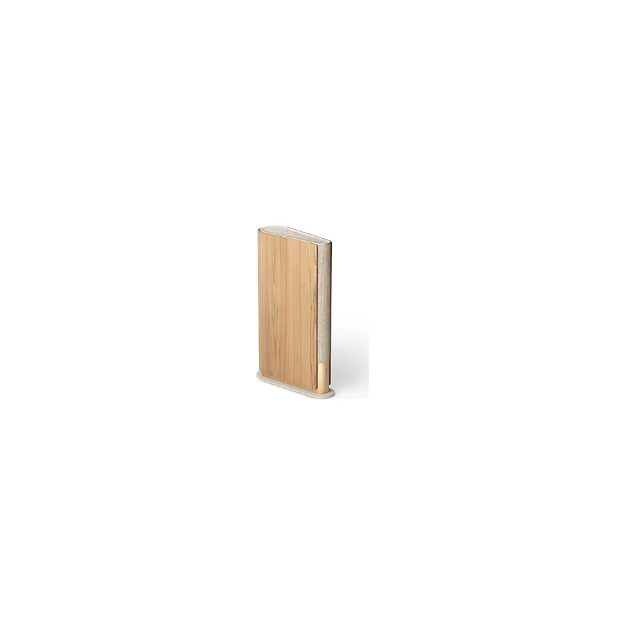 Bang & Olufsen Beosound Emerge Multiroom Hoparlör