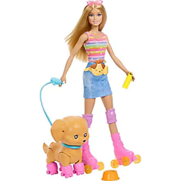Barbie Pets Paten Macerası Bebek ve Sevimli Köpek Oyun Seti JMJ44