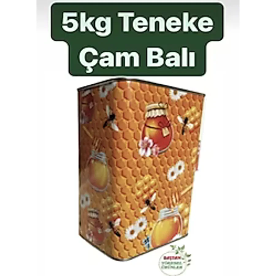 Baştan Yöresel 5 kg Yayla Çam Balı
