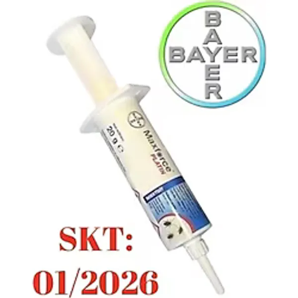 Bayer Maxforce Platin Hamam Böceği Jeli 20 G Kokusuz Böcek Ilacı Jel Skt.2027