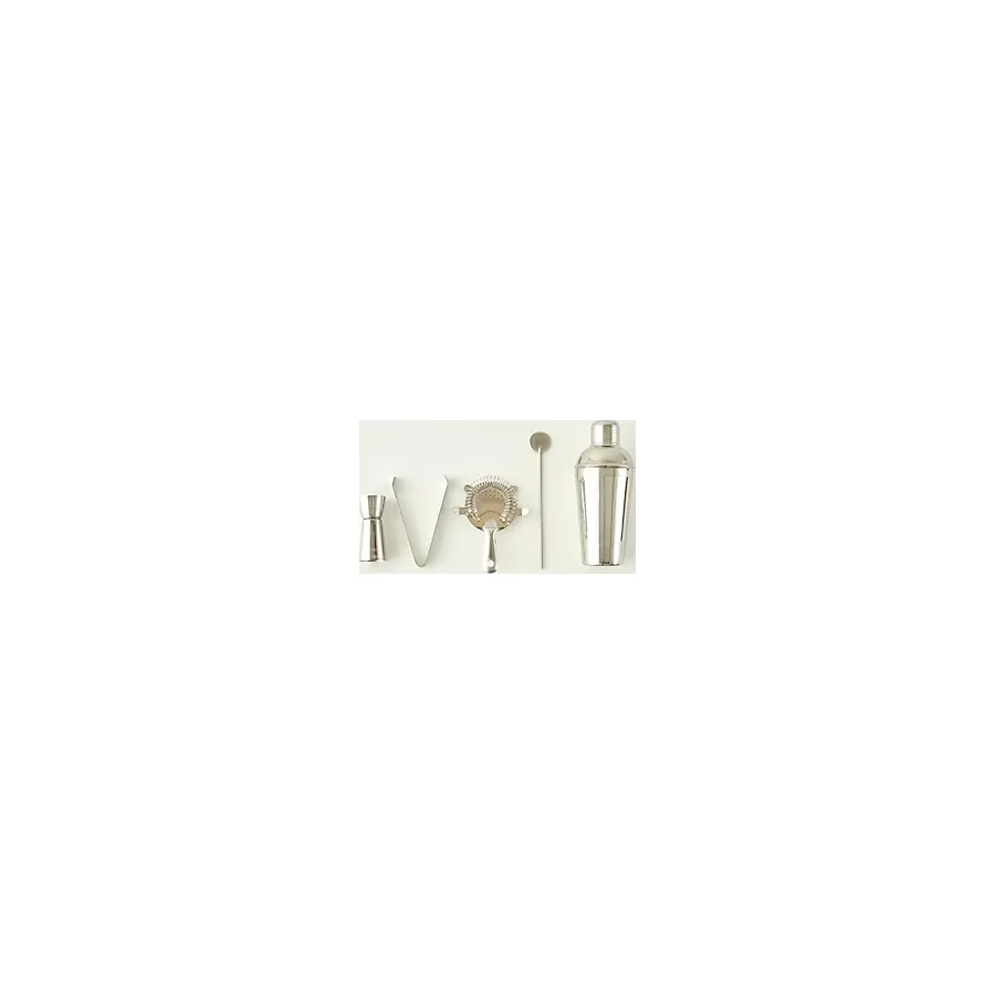 Bella Maison Fepe Kokteyl Shaker Seti Silver