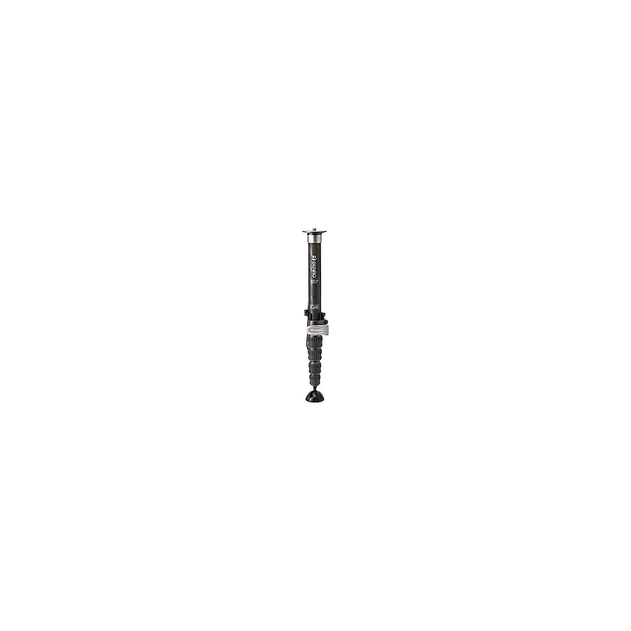 Benro MSD36C Monopod