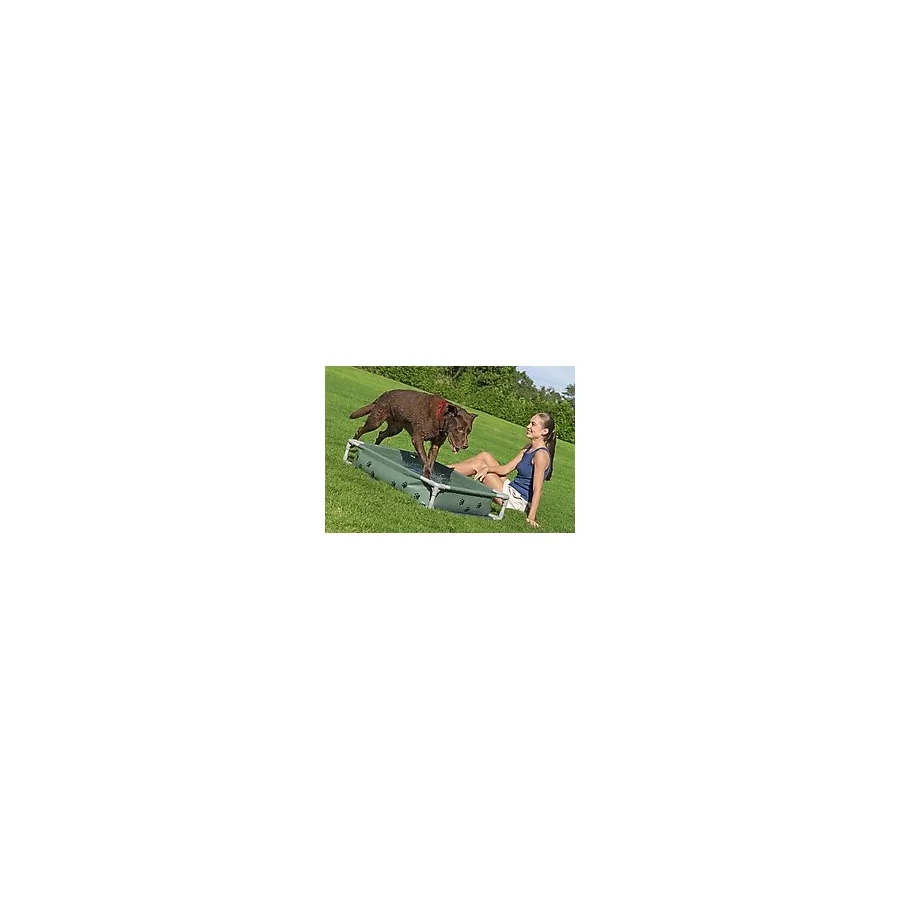Bestway 561RG Fetchin Fun Köpek Oyun Havuzu & Yükseltilmiş Yatak 1,02 m x 74 cm x 20 cm