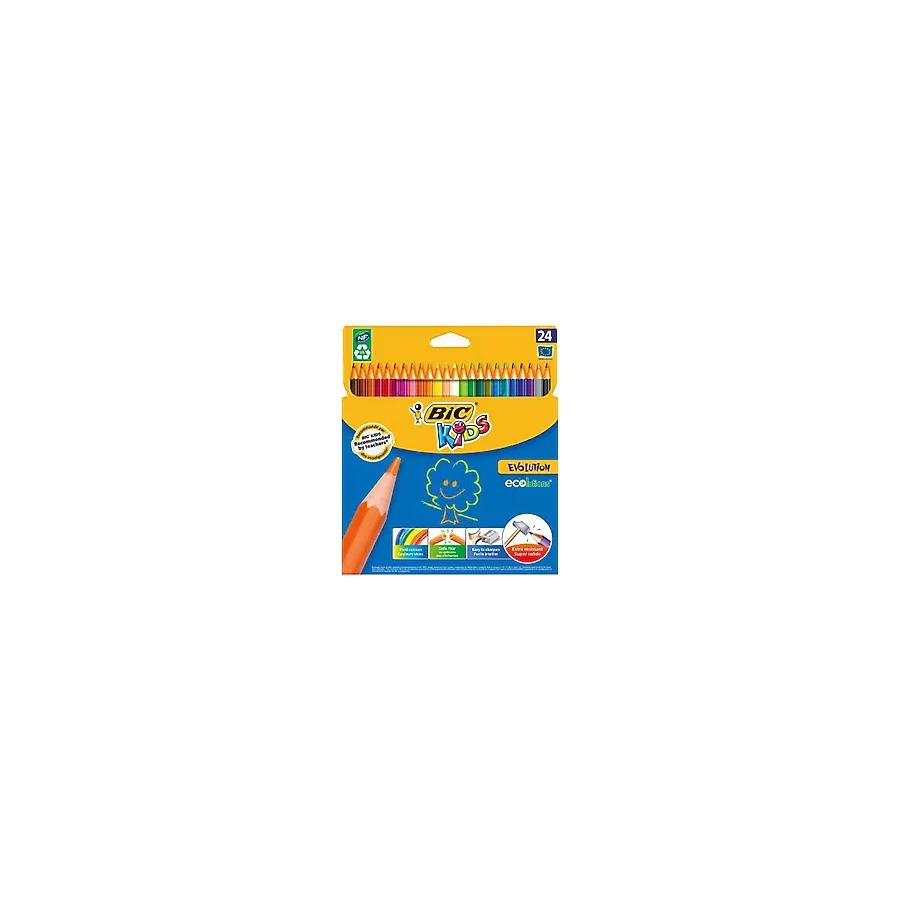 Bic Kids Evolution 24'lü Kuru Boya Seti