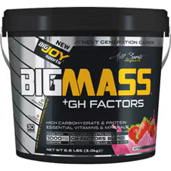 BigJoy BigMass GH Factors Karbonhidrat Tozu 3000 gr Çilekli
