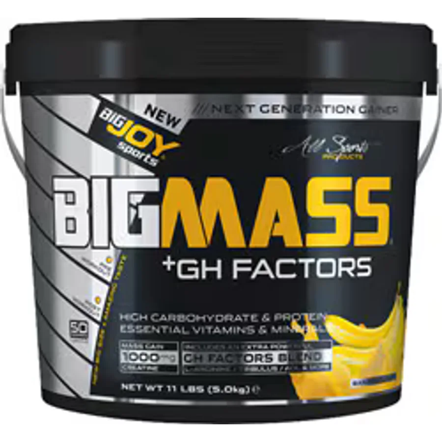 BigJoy Bigmass GH Factors Karbonhidrat Tozu 5000 gr Muzlu