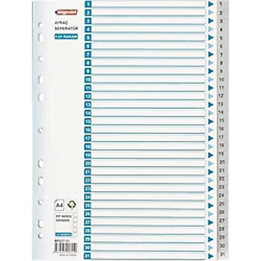 Bigpoint BP227-31 1-31 Rakamlı Seperatör