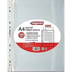 Bigpoint Poşet Dosya Eco 30 Mikron 100'lü Paket