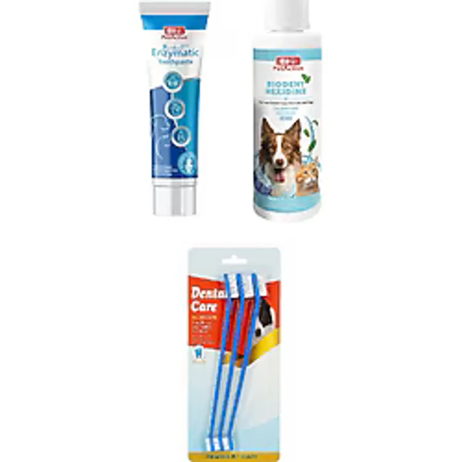 Bio Petactive Biodent Enzymatic Köpek Diş Macunu 100 Ml + Biodent Hexidine 250 Ml + Diş Fırçası 3 Lü