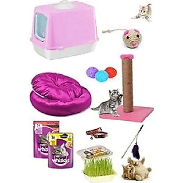 Bio Sand Kedi Başlangıç Seti 10 Parça