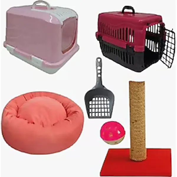Bio Sand Petzen Kedi Başlangıç Seti 6'lı Pembe