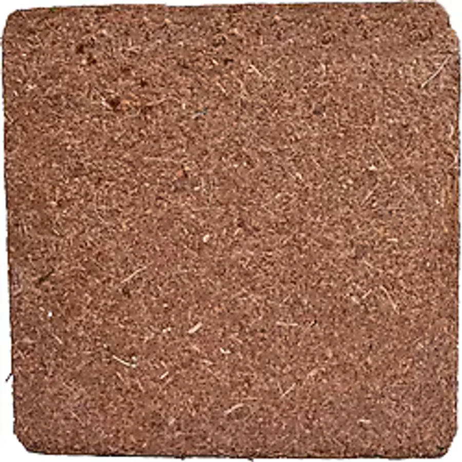 Biorfe Premium Cocopeat 5 Kg Sıkıştırılmış Hindistan Cevizi Torfu