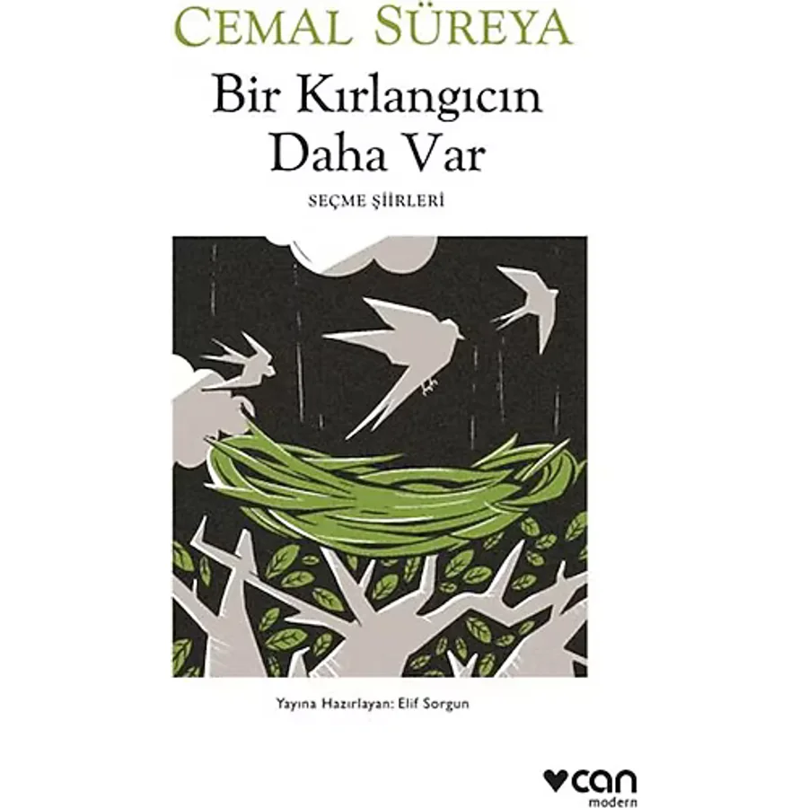 Bir Kırlangıcın Daha Var - Cemal Süreya