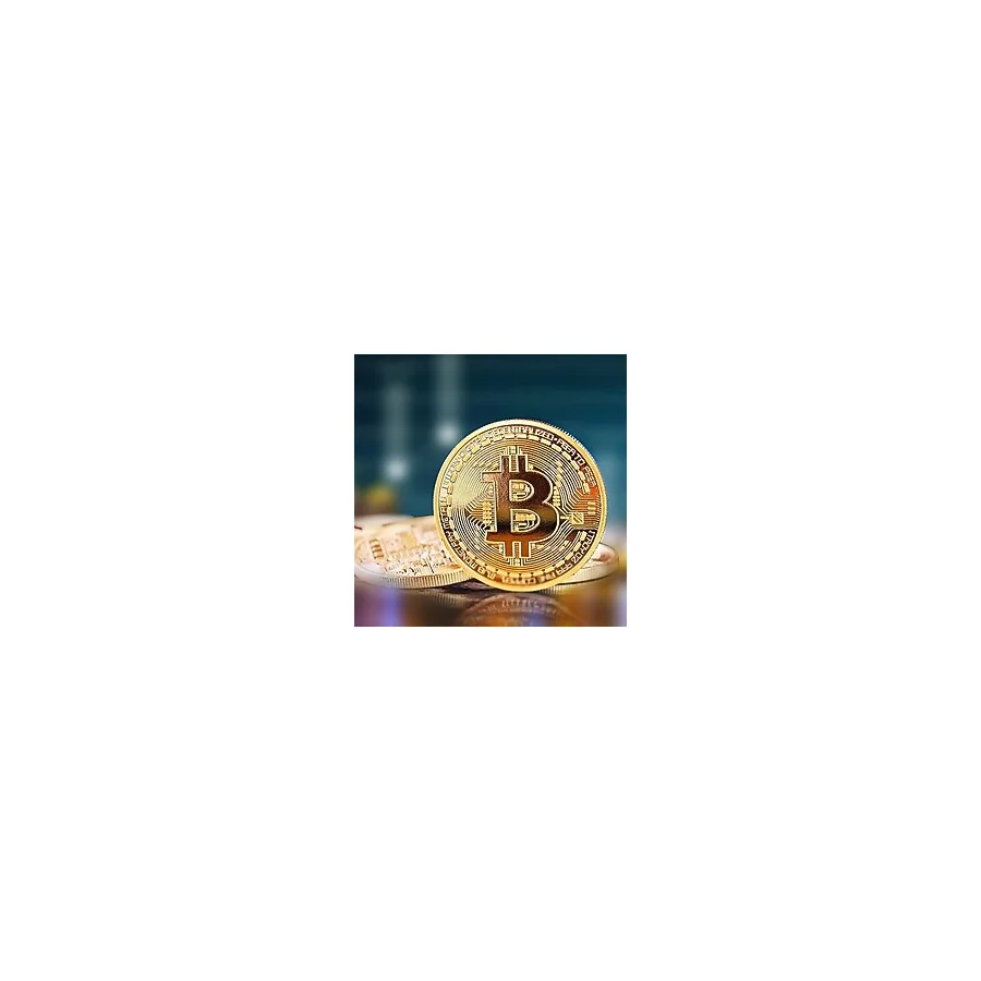Bitcoin Madeni Hatıra Parası Madeni Bitcoin Hediye Sikke Para (4745)