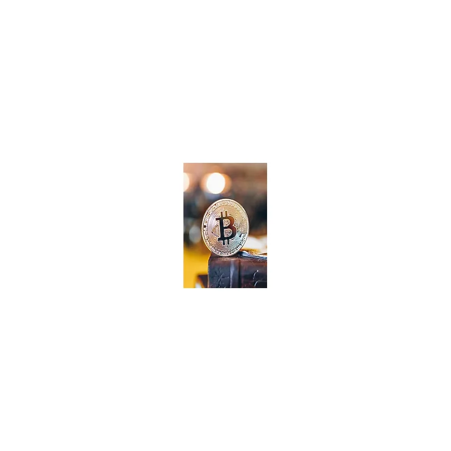 Bitcoin Madeni Hatıra Parası Madeni Bitcoin Hediye Sikke Para