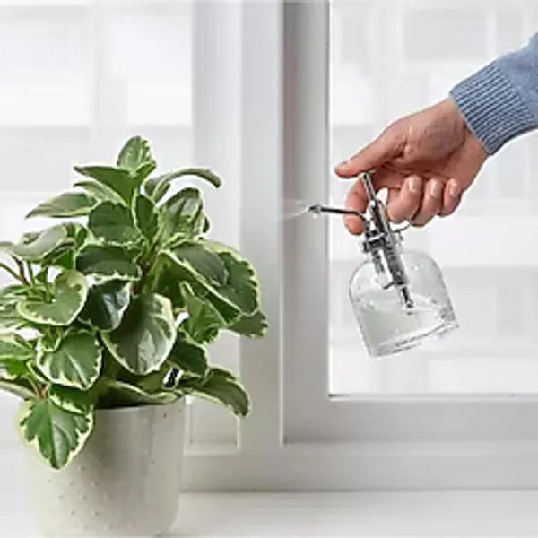 Bitki Sulama Şişesi 25 cl 16 cm Sulama Sprey Şişesi Saksı Çiçek Bitki Bahçe Cam Sulama Kabı Şişesi