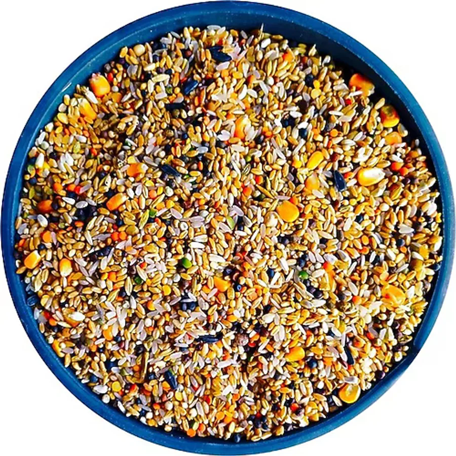 Bizim Yem Karışık Güvercin Yemi (Buğdaylı) - 5kg