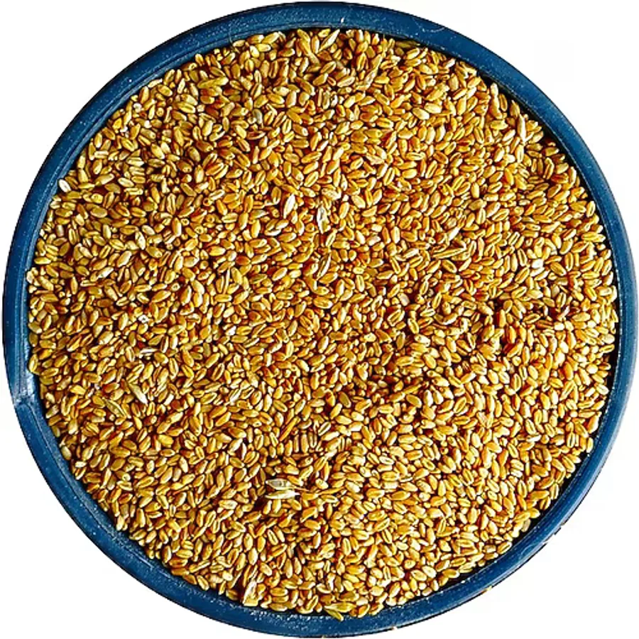 Bizim Yem Yemlik Elenmiş Buğday - 25 kg (Tavuk, Piliç, Hindi, Ördek, Güvercin, Kaz )