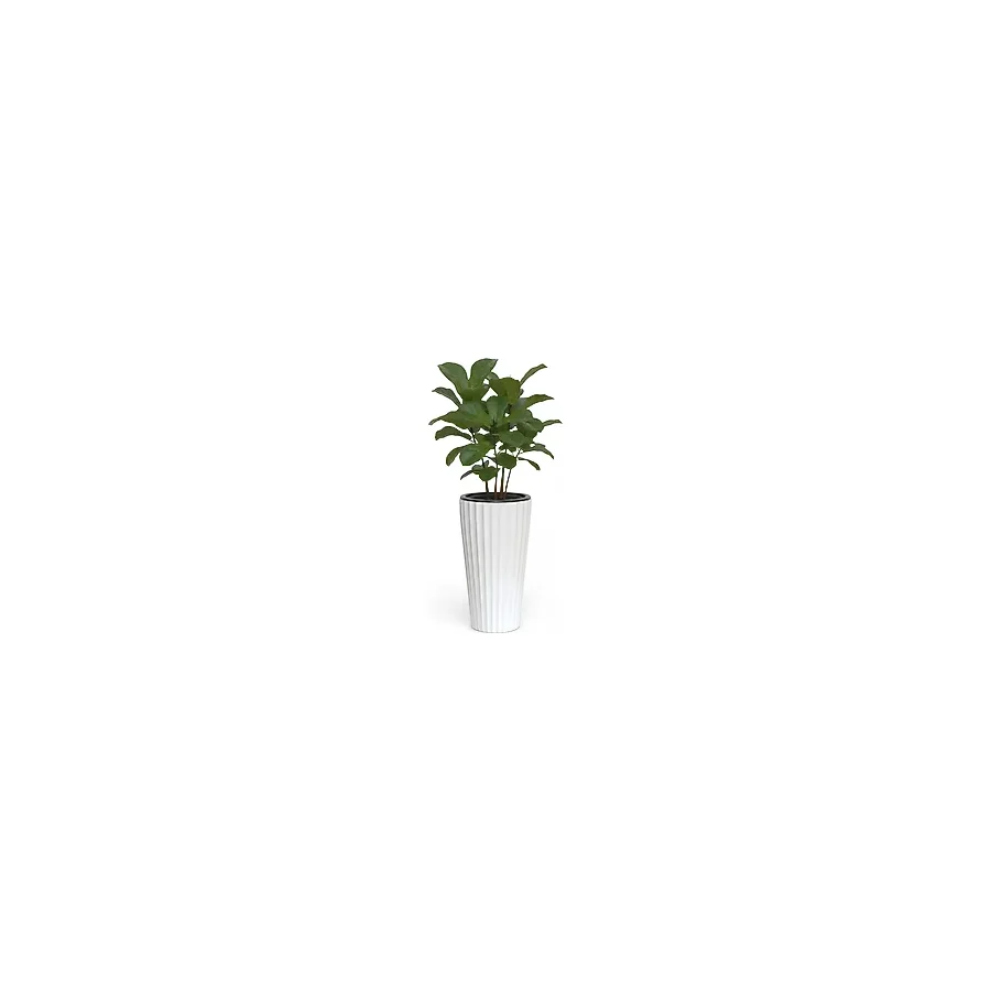 Bliss Lilyum Dekoratif Çizgili Saksı Vazo & Şemsiyelik Beyaz Renk 58 cm (İçliksiz)