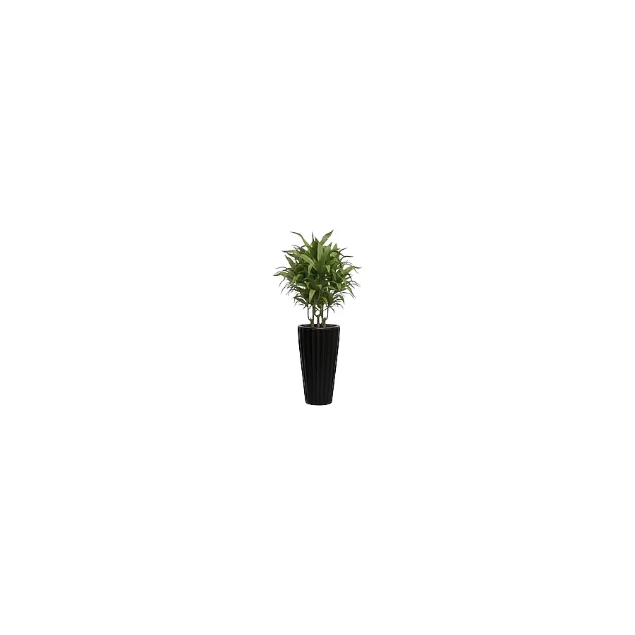 Bliss Lilyum Dekoratif Çizgili Saksı Vazo & Şemsiyelik Siyah Renk 58 cm (İçliksiz)