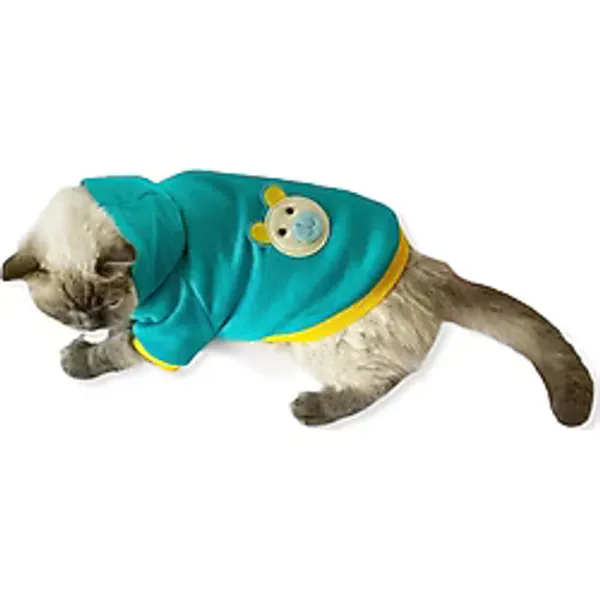 Blue Bear Kapşonlu Sweatshirt Kedi Süeteri Kedi Kıyafeti