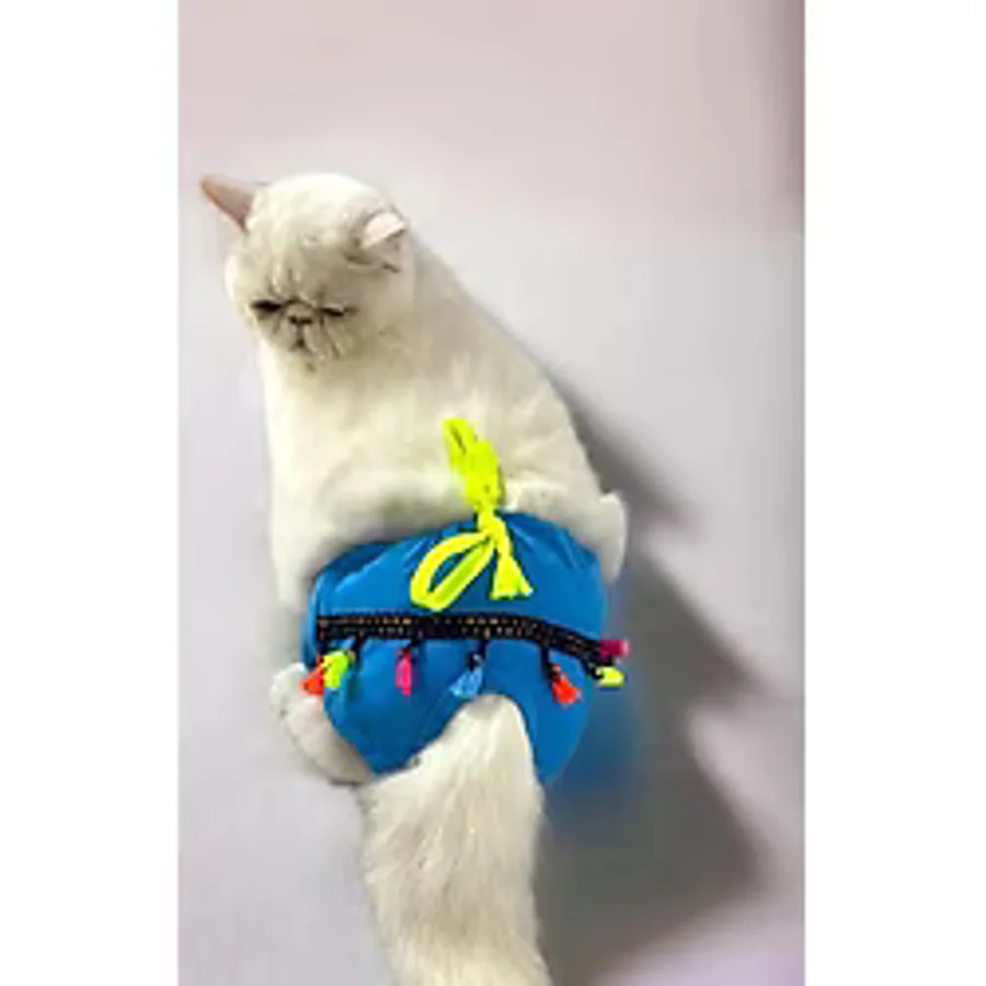 Blue Tufty Kemiques Secret Kedi Ic Camasiri Regl Kulot Don