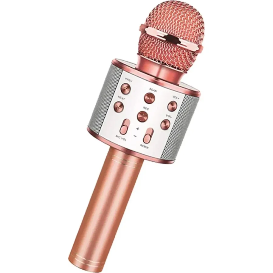 Bluetooth Karaoke Mikrofon-Findit - Standart - Siyah