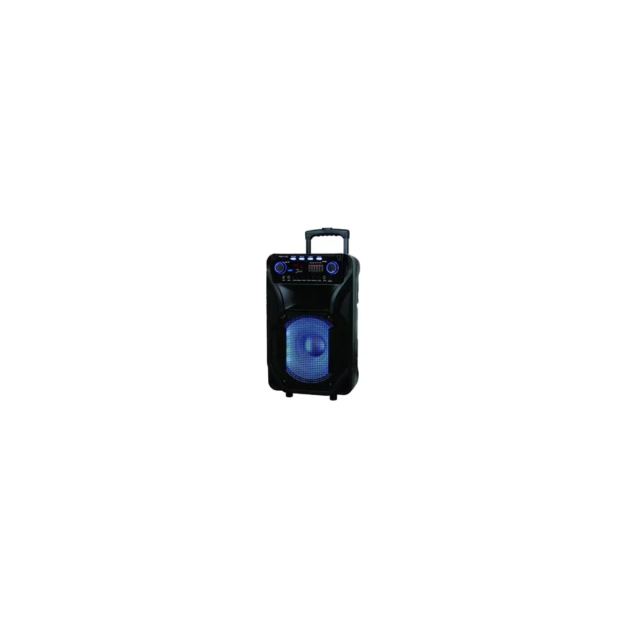 Bood MX-305 FM Radyolu TF Kart USB Girişli Taşınabilir Müzik Seti