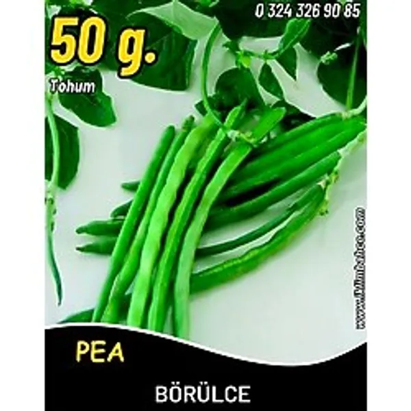 Börülce Tohumu Karagöz 86 - 50G