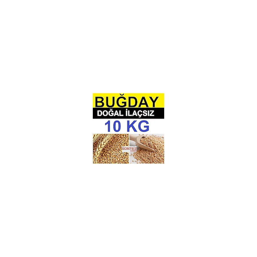 Buğday 10 Kg Yemlik Buğday Tavuk Yemi Güvercin Yemi Kanatlı Yemi