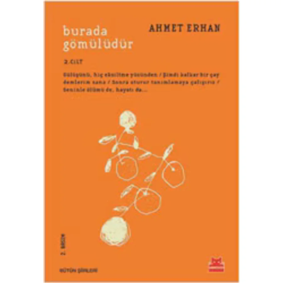 Burada Gömülüdür 2. Cilt - Ahmet Erhan