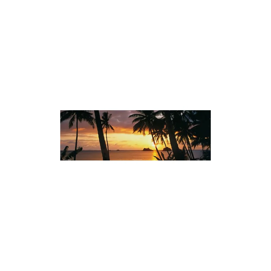 Buyartforless Tropikal Gün Batımı 36x12 Sanatsal Baskı Poster Palmiye Ağaçları Tropikal Ada Kaçamağ