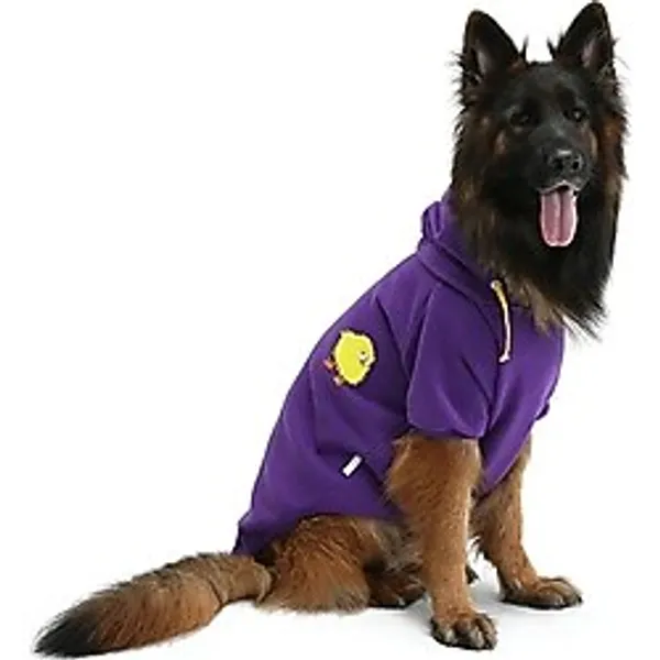 Büyük Irk Civciv Köpek Sweati-Köpek Kiyafeti
