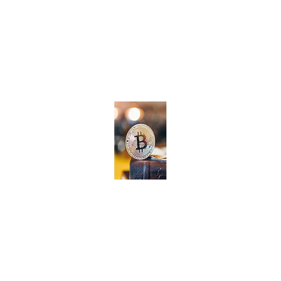 By Nevser Bitcoin Madeni Hatıra Parası Madeni Bitcoin Hediye Sikke Para