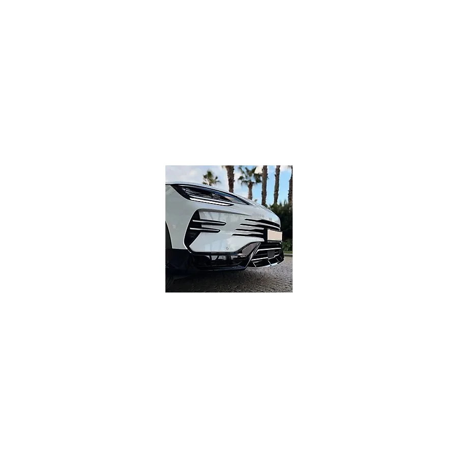 Byd Seal U-Dmı İçin Uyumlu Aero Body Kıt