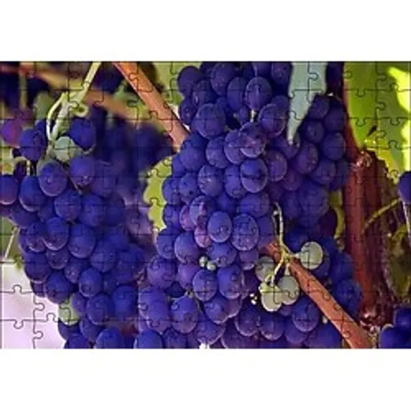 Cakapuzzle Dalında Şaraplık Kara Üzümler Puzzle Yapboz MDF (Ahşap)