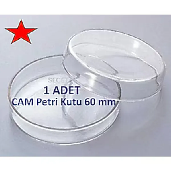 Cam Petri Kabı 60 X 15 Mm Cam Petri Kabı 60mm- 1 Adet