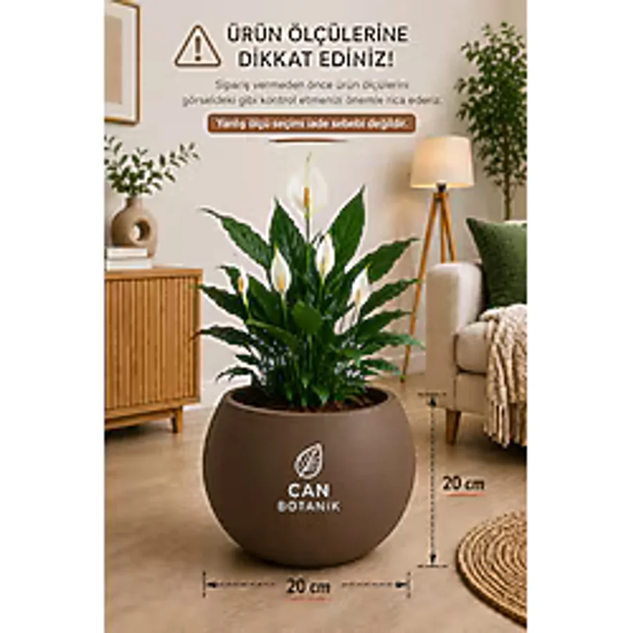 CANBOTANİK Küre Saksı 20 Cm Saksı mocha Plastik Saksı Çiçek Saksısı Salon Saksı