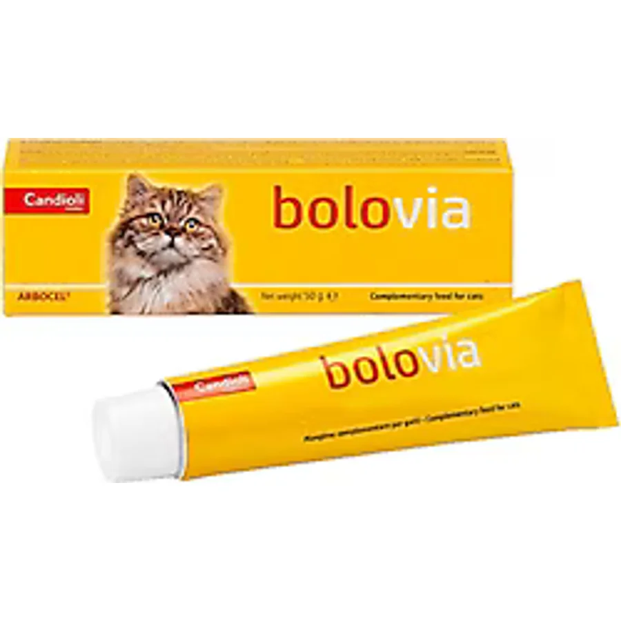 Candioli Bolovia 50 gr Malt Kedi Macunu