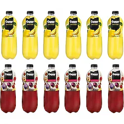 Cappy Limonata ve Ramazan Şerbeti 1 lt 12'li Karma Paket