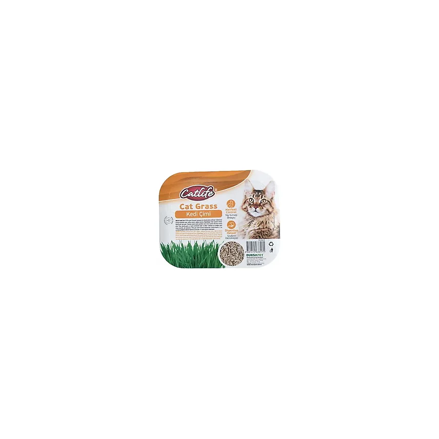 Catlife Cat Grass Kedi Çimi