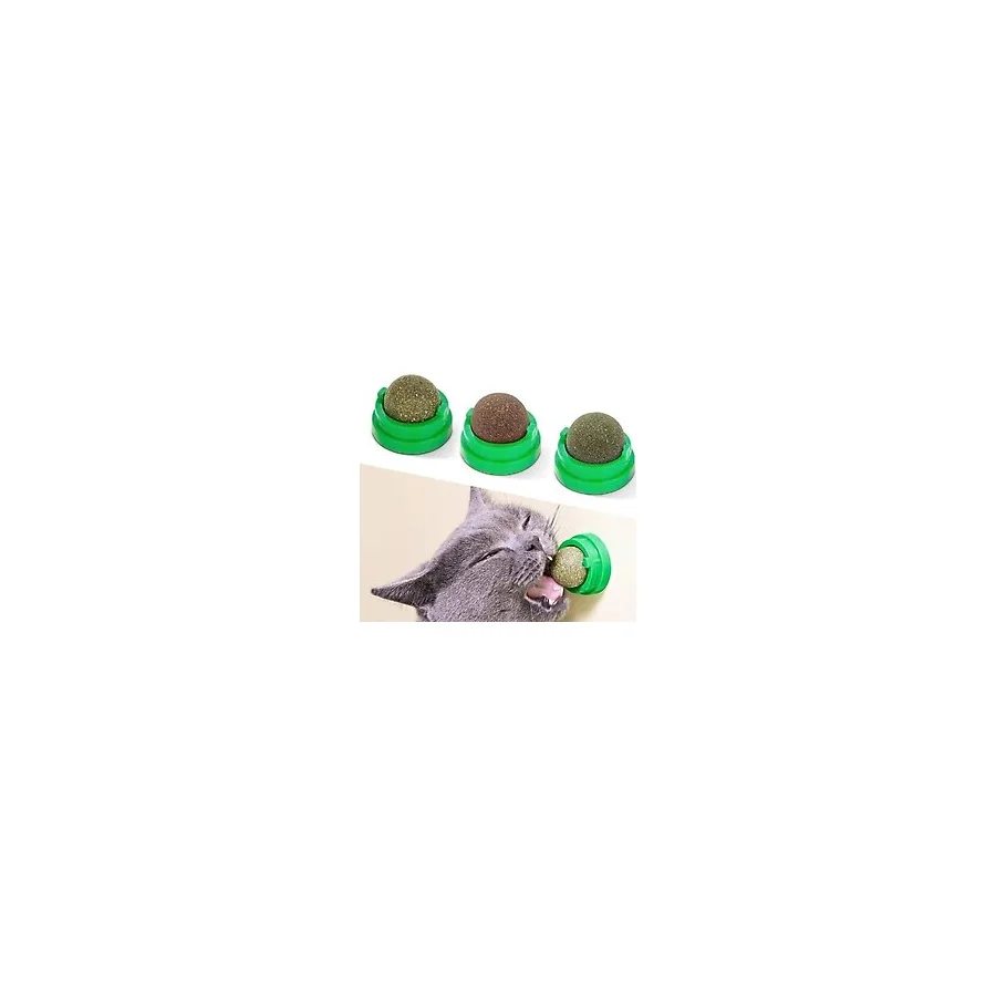 CATNIP YALAMA TASI