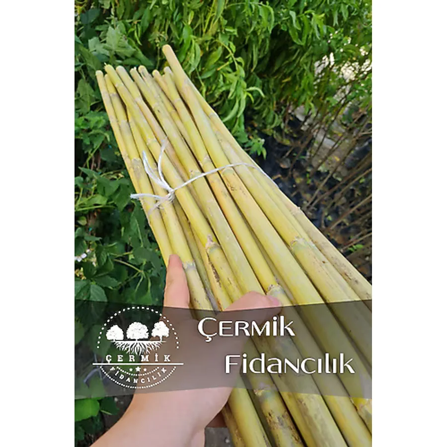 ÇERMİK FİDANCILIK Bambu Fidan Bitki Destek Çubuğu 20 Adet 2 Metre Boy