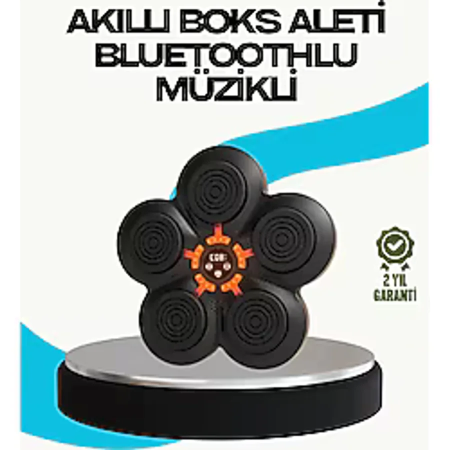 CEYLAN ADAM Ev Tipi Akıllı Boks Duvar Paneli Müzikli Bluetoothlu Refleks Geliştirme Cihazı