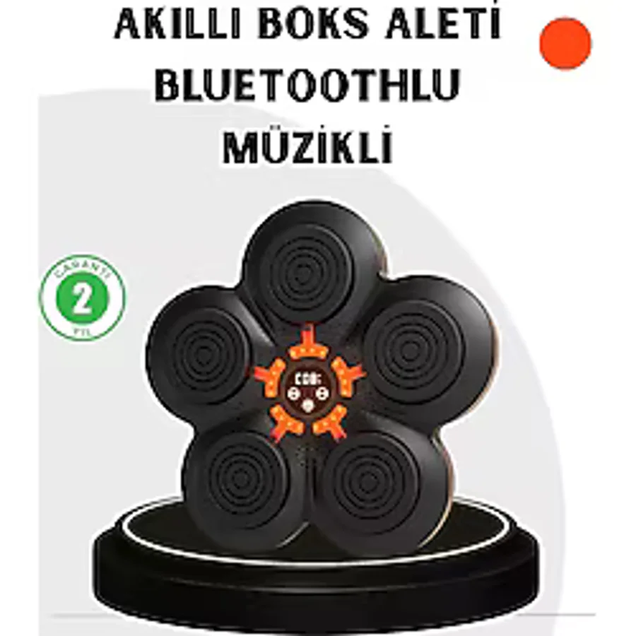 CEYLAN ADAM Evde Fitness İçin Akıllı Boks Makinesi Işıklı Vuruş Noktalı Bluetoothlu