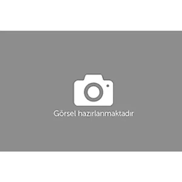 CG 250 PİSTON 67,50 mm (STD+0,50) 16 PİM