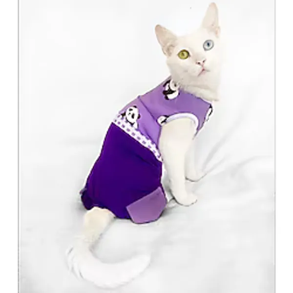 Chique Panda Kedi Tulumu Kedi Kıyafeti Kedi Elbisesi