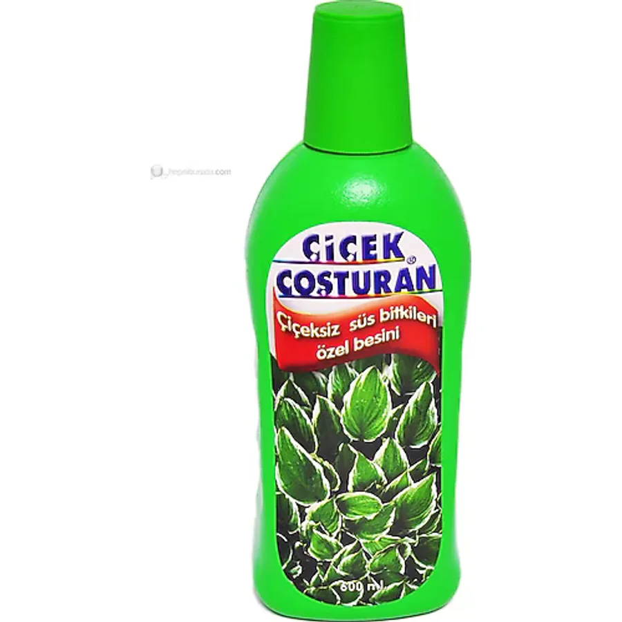 Çiçek Coşturan 1200 Çiçeksiz Süs Bitkileri İçin